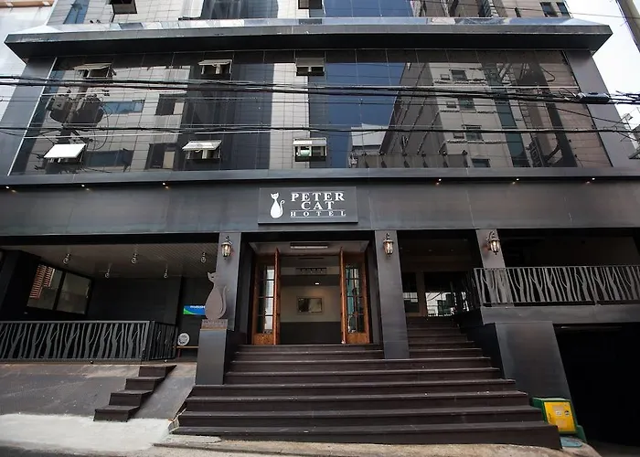 Petercat Shinchon 3*