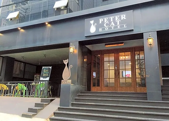 酒店 Petercat Shinchon