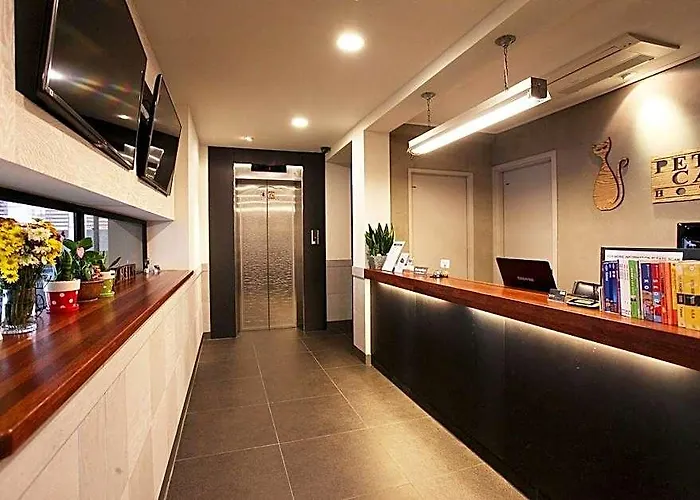酒店 Petercat Shinchon 首爾