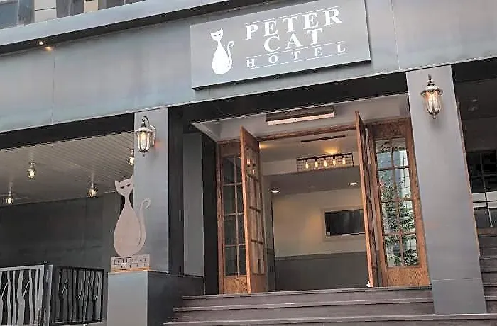 酒店 Petercat Shinchon 首爾