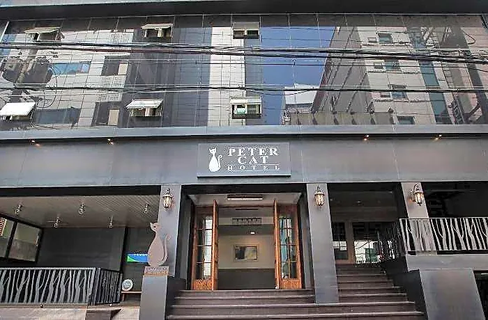 Petercat Shinchon 首爾