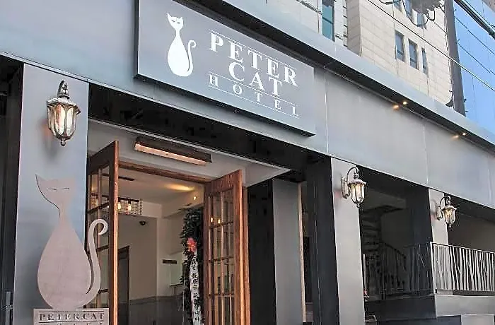 Petercat Shinchon 酒店 3*