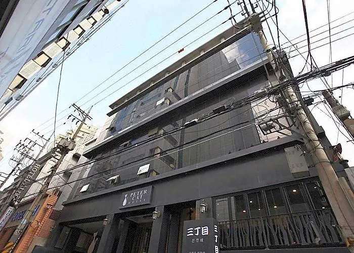 Petercat Shinchon 首爾