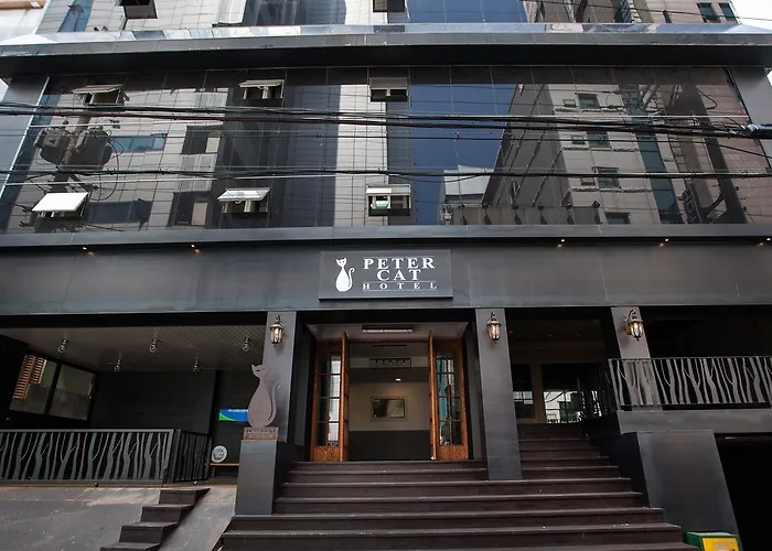 酒店 Petercat Shinchon