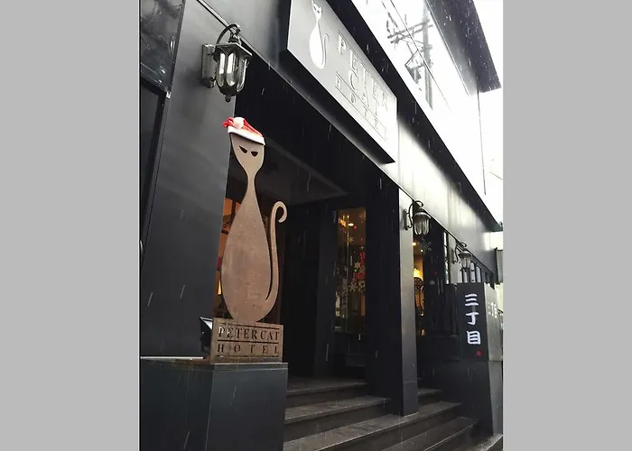Petercat Shinchon 首爾