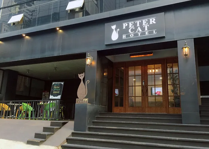 Petercat Shinchon